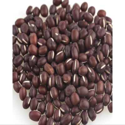 Beans, Adzuki, Organic, 25# Bulk