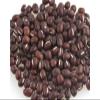 Beans, Adzuki, Organic, 25# Bulk view 1