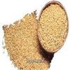 Wheat, Winter, Hard Red, 50# Bulk view 1