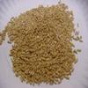 Oat Groats, Whole, 50 lb Bulk view 1