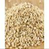 Oat Groats, Steel Cut, 50 lbs. Bulk (50#) view 1