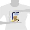 Activa 20-30 mmHg Men's Firm Support Dress Socks, Brown, Medium view 3