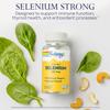 Solaray Yeast Free Selenium 200mcg, Selenium Capsules for Healthy Thyroid Function & Immune Support, High Absorption Supplement, Vegan, 90 Servings, 90 VegCaps view 3