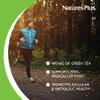 NaturesPlus Herbal Actives Green Tea - 60 Capsules - Non-GMO, Vegan, Gluten Free - 60 Servings view 4