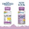 SOLARAY St. Johns Wort Aerial Extract 450mg Two Daily | Mood & Brain Health Support | 0.3% Hypericin | 60ct, 30 Serv. view 2