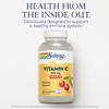 SOLARAY Chewable Vitamin C 500 mg, Natural Cherry Flavor with Natural Sweeteners, Antioxidant and Immune Support Supplement with Whole Food Base, 60-Day Guarantee, 100 Servings, 100 Chewables view 3