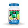 Source Naturals Attentive Child Chewable Wafers for Brain Metabolism Support - 30 Fruit Wafers view 1