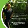 NaturesPlus Mixed Vegetables - 180 Tablets - With Broccoli, Spinach, Carrot & Cabbage - Gluten Free - 60 Servings view 4