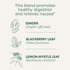 Traditional Medicinals Tea, Organic Ginger Aid, Promotes Healthy Digestion, 16 Tea Bags view 3