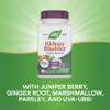 Nature's Way Kidney Bladder Premium Blend, Traditional Herbs Supplement, 900 mg per 2-Capsule Serving, Non-GMO Project Verified, Vegan, 100 Capsules (Packaging May Vary) view 4
