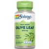 SOLARAY Olive Leaf Capsules 410 mg for Men & Women - Olive Leaf Herb Caps for Natural Herbal Support, Non GMO, Vegan - 100 Veg Caps view 1