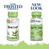 SOLARAY Olive Leaf Capsules 410 mg for Men & Women - Olive Leaf Herb Caps for Natural Herbal Support, Non GMO, Vegan - 100 Veg Caps view 2