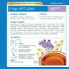 Traditional Medicinals Organic Cup of Calm Herbal Tea, 16 ct view 4