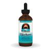 Source Naturals Wellness Elderberry Liquid Extract, for Immune System Support* - Sambucus nigra - 4 Fluid oz view 1