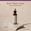 Bach Original Flower Remedies, Water Violet - Connect with Others - Natural Homeopathic Flower Essence for Emotional Balance - Vegan, Gluten Free, Sugar Free - 20mL Dropper view 2