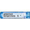 Gelsemium Sempervire 6C MD Boiron 1 Tube Pellet view 1