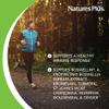 NaturesPlus Herbal Actives InflamActin - 60 Vegetarian Capsules - Herbal Supplement with Turmeric & Bromelain - Supports Adaptogenic Function - Vegan, Gluten-Free - 30 Servings view 3