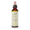 Bach Original Flower Remedies, Chestnut Bud - Learn from Mistakes - Natural Homeopathic Flower Essence for Emotional Balance - Vegan, Gluten Free, Sugar Free - 20mL Dropper view 1