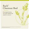 Bach Original Flower Remedies, Chestnut Bud - Learn from Mistakes - Natural Homeopathic Flower Essence for Emotional Balance - Vegan, Gluten Free, Sugar Free - 20mL Dropper view 3