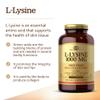 Solgar L-Lysine 1000 mg, 250 Tablets - Enhanced Absorption and Assimilation - Promotes Integrity of Skin and Lips - Collagen Support - Amino Acids - Non-GMO, Vegan, Gluten Free - 250 Servings view 3