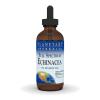 Planetary Herbals Full Spectrum Echinacea Liquid Extract Supplement, 1 Fluid Ounce view 1