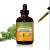 Herb Pharm Certified Organic Wormwood Liquid Extract for Digestive System Support - 4 Ounce view 1