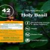 Herb Pharm, Holy Basil Extract Organic, 1 Fl Oz view 2