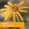 Herb Pharm Certified Organic Arnica Oil - 4 Ounce view 4