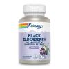 Solaray - Sambuactin Elderberry Extract, 60 Lozenges view 1