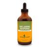 Herb Pharm Inflamma Response Liquid Herbal Formula with Turmeric Liquid Extract - 4 Ounce view 1