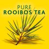 Freshpak Pure Rooibos Tea 80 Tagless Bags, Pure Premium Rooibos and No Rooibos Infusion, New Packaging (2 X Pack) view 3