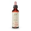 Bach Original Flower Remedies, Mimulus - Face Your Fears - Natural Homeopathic Flower Essence for Emotional Balance - Vegan, Gluten Free, Sugar Free - 20mL Dropper view 1