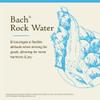Bach Original Flower Remedies, Rock Water - Flexible Mind - Natural Homeopathic Flower Essence for Emotional Balance - Vegan, Gluten Free, Sugar Free - 20mL Dropper view 3