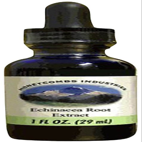 HoneyCombs Echinacea Liquid Drops 1 fl oz