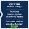 Life Extension Acetyl-L-Carnitine, Acetyl-L-Carnitine, Vitamin C, Brain, Mood & Nerve Health, Cellular Energy, 3-Month Supply, Gluten-Free, Non-GMO, Vegetarian, 100 Capsules view 4