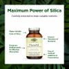 Flora FloraSil 90 Veg Capsules - Silica Supplement with Horsetail Extract for Healthy Hair, Skin, and Nails* - Supports Collagen Formation view 4