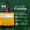Herb Pharm Certified Organic Catnip Liquid Extract for Calming Nervous System Support, 1 Fl Oz view 2