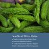 Eclectic Herb - Bitter Melon Capsules | Digestion & Immune Support Supplement | US-Grown, Vegan, Non-GMO, Gluten Free (90 CT | 200 mg) view 4