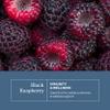 Eclectic Herb - Black Raspberry Capsules | Vegan Superfood Supplement | Nutrition, Vitamins + Minerals | Antioxidant + Immune Support | US-Grown, Natural, Non-GMO, Gluten Free (90 CT | 300 mg) view 3