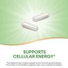 Nature's Way Pantothenic Acid, Supports Cellular Energy*, 500mg Per Serving, 100 Capsules view 3