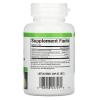 Natural Factors - Papaya Enzymes, Promotes Healthy Digestion, 120 Chewable Tablets view 2