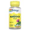 SOLARAY Organic Burdock Root 970 mg - Digestive Support Supplement - USDA Burdock Root Organic - Vegan, Lab Verified, 60-Day Money-Back Guarantee - 50 Servings, 100 Organic Capsules view 1