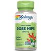 SOLARAY Rose Hips Fruit 550mg | Healthy Skin, Joints & Immune Function Support | Source of Vitamin C & Bioflavonoids | Non-GMO & Vegan | 100 VegCaps view 1