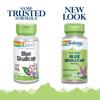 SOLARAY Blue Skullcap 425mg | Whole Aerial | Healthy Mood and Normal GABA Activity Support | Vegan | 100 VegCaps view 3
