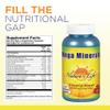 Nature's Life Mega Minerals Complex | Complete Multi Mineral + Vitamin D Supplement | 250 Vegetarian Capsules view 2