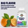 KAL ImmunoRaptor Kids Immune Support Chewables, Vitamin C and Zinc for Healthy Cell Function, Dinosaur Shaped, Orange Flavor, Gluten, Lactose, and Peanut-Free, Sweetened with Xylitol, 60 Servings view 4