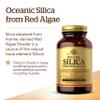 Solgar Oceanic Silica from Red Algae 25 mg, 100 Vegetable Capsules - Excellent Source of Calcium, Supports Bone Health - Non-GMO, Vegan, Gluten Free, Dairy Free, Kosher - 50 Servings view 3