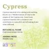 Aura Cacia, Oil Cypress, 0.5 Fl Oz view 2