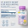 SOLARAY St John's Wort 900 mg, Once Daily Mood Support Supplement, Standardized to 0.3% Hypericin for Brain Health Support and a Balanced Mood, 60-Day Money Back Guarantee, 30 Servings, 30 Tablets view 2
