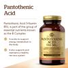 Solgar Pantothenic Acid 550 mg, 100 Vegetable Capsules - Vitamin B5 - Gluten Free, Dairy Free, Kosher view 3
